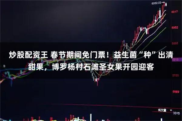 炒股配资王 春节期间免门票！益生菌“种”出清甜果，博罗杨村石滩圣女果开园迎客